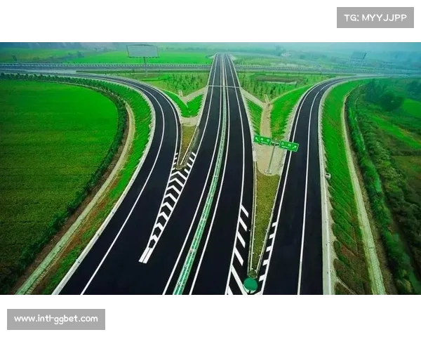 推动可持续发展理念助力体育产业绿色高质量转型